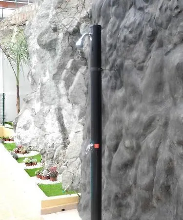 Mocanes Porto Rico