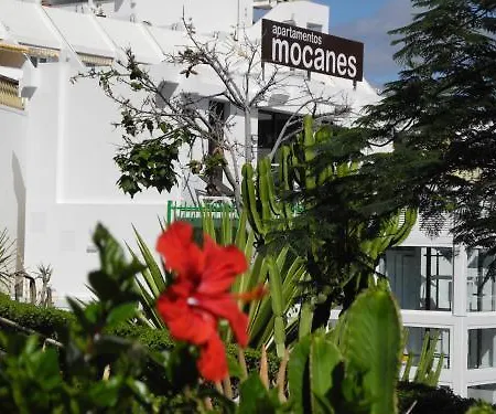 Mocanes Apartment