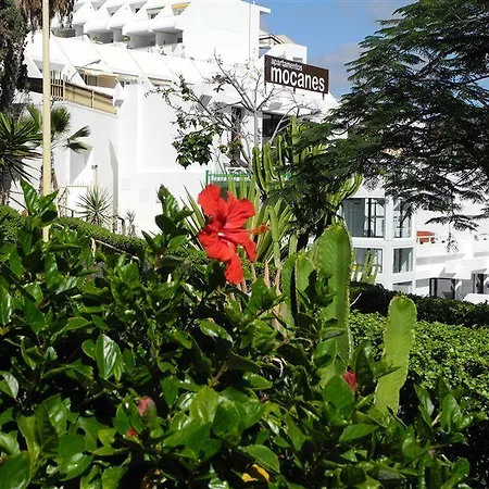 Apartment Mocanes Puerto Rico (Gran Canaria)